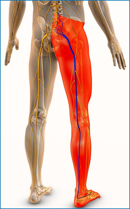 Spine consultation