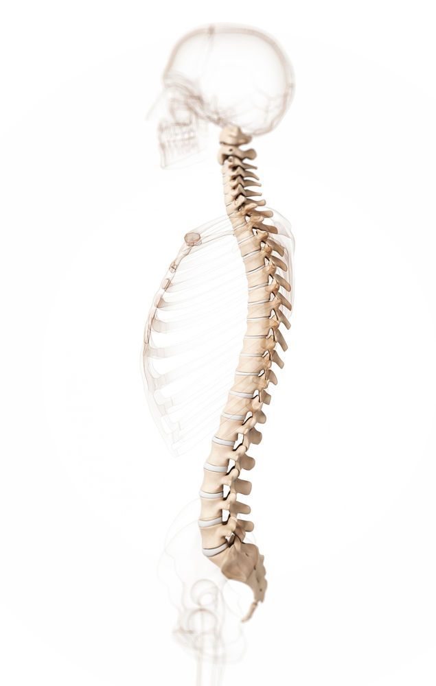 Spine consultation