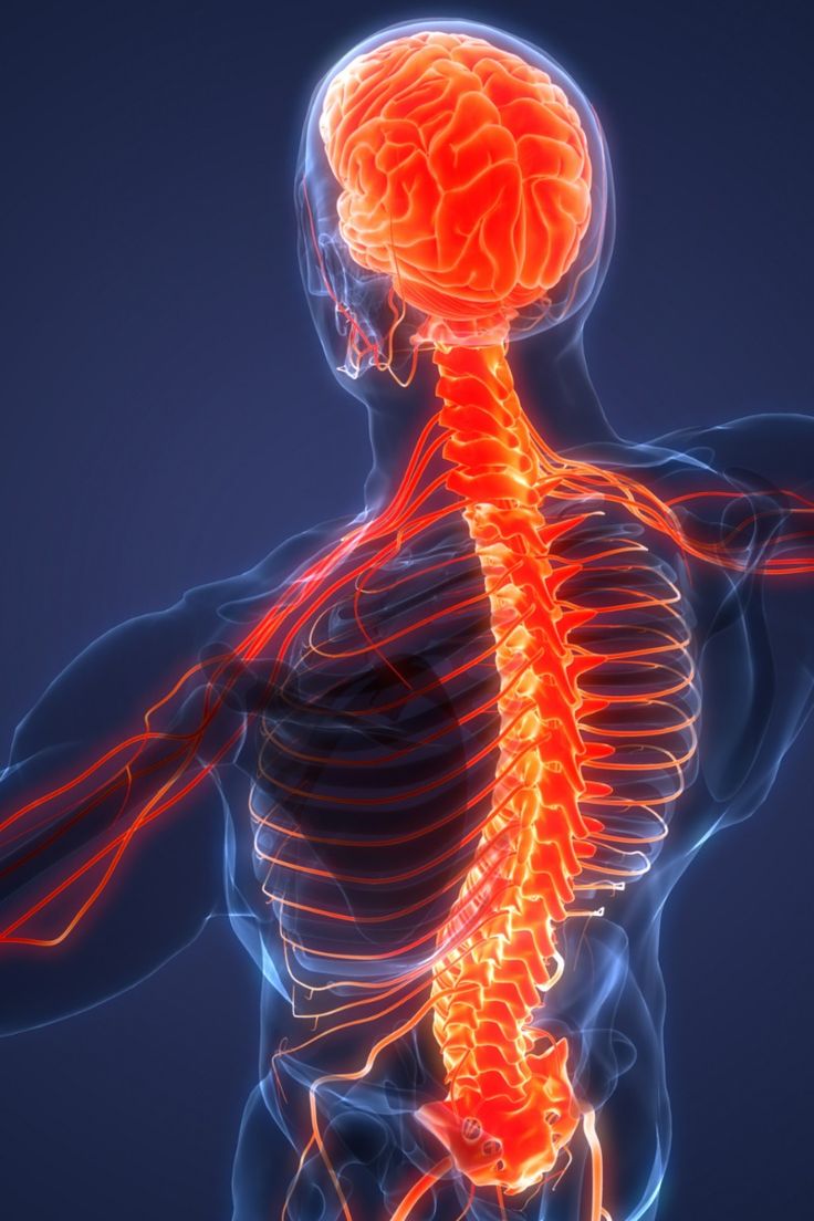 Pressure on the spinal cord