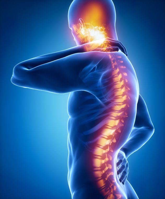 Spine consultation