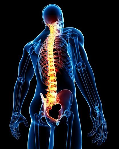 Spine diagnosis